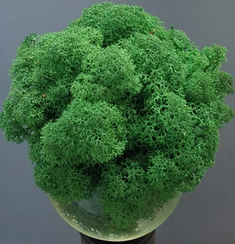Стабілізований мох ягель для декору Норвегія Grass green dark № 78 - 100 грам
