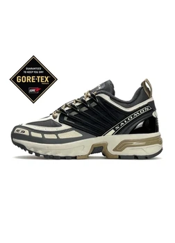 Кросівки чоловічі Salomon ACS Pro GTX Grey Beige Black 43 (28,5см ) ( A4737)