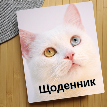 Дневник Коты (28270)
