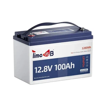 Аккумуляторная батарея Timeusb LiFePO4 12.8V 100Ah 1280Wh BMS 100A