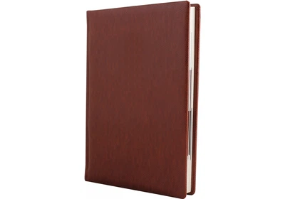 Дневник недатированный Cabinet Lizard A5 320 страниц коричневый (O25467-07)