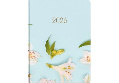 Дневник датированный 2026 Economix Color A5 336 страниц принт (E21898)