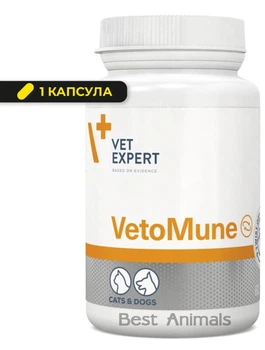 Харчова добавка (вітаміни) для імунітету котів і собак VetExpert VetoMune, 1 капсула (5902454200553)