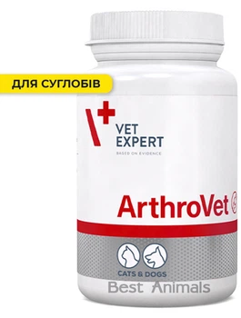 Харчова добавка VetExpert ArthroVet для підтримання здоров’я хрящів і суглобів у котів і собак, 60 таблеток (5907752658211)