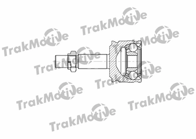 ШРУС наружный 21/25 зуб., комплект Smart Forfour, TRAKMOTIVE (400725)