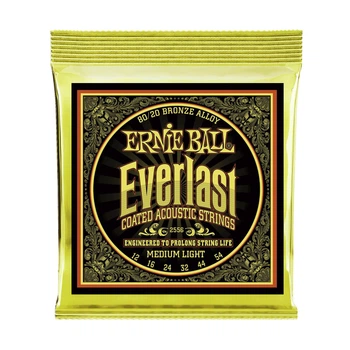 Струни для акустичної гітари 12-54 Ernie Ball P02556