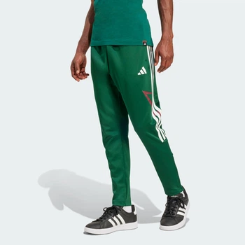 Мужские брюки House of Tiro Nations Pack adidas JN2574 (L) зеленый (4068808801430)