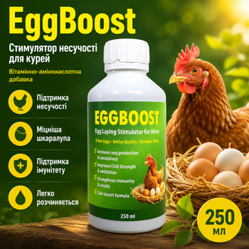 Эффективная добавка в комбикорм для цыплят EggBoost Яйцескость 250 мл Повышение несучести
