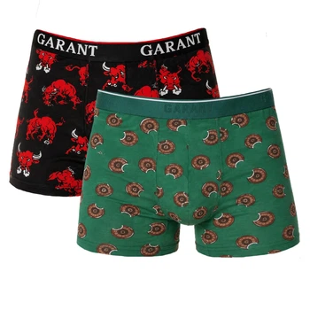 Трусы мужские боксёри хлопковые комплект 2 шт Garant (310-1) р.50(L) разноцветные