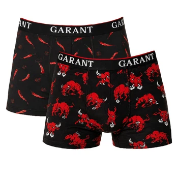 Трусы мужские боксёри хлопковые комплект 2 шт Garant (310-3) р.50(L) разноцветные