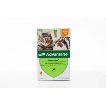 Адвантейдж 40 (Advantage) Elanco — краплі від бліх для котів та кролів до 4 кг, 4×0,4 мл