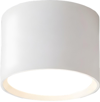 Oprawa natynkowa Light Prestige Kendal Biały (LP-6331/1SM GX53 WH)