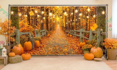 Баннер осенний для фотозоны PHOTODECOR «Осенний парк с тыквами 1» 1 кв.м.