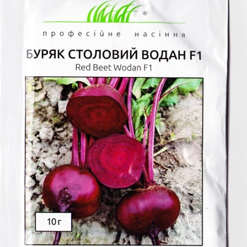 Буряк Водан F1 круглий 10 г