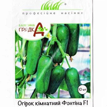 Огірок кімнатний Фонтіна F1, 10 шт