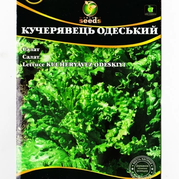 Салат Одеський кучерявець 10 г WOS насіння