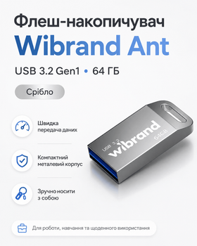 Флеш-накопичувач Wibrand USB 3.2 Gen1 Ant 64ГБ (колір срібло)