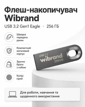 Флеш-накопичувач Wibrand USB 3.2 Gen1 Eagle 256ГБ (колір сірий)