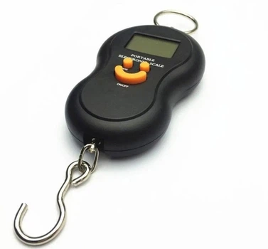 Весы электрические ACS 601/603 до 50кг.