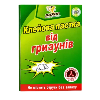 Мишоловка липучка Книжка 31х21 см 5 шт (4867)