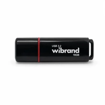 Флеш накопичувач USB 16Gb Wibrand Scarab, Black, USB 3.2 Gen 1 (WI3.2/SC16P11B)
