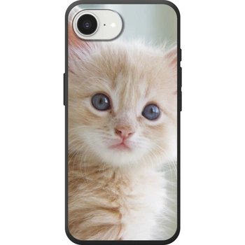 Силиконовый Чехол с Картинкой для IPhone 17e Принт (Котик) (71609-ysm99)
