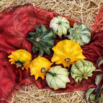 Семена Декоративная тыква Терновый венец (Crown of Thorns), Cucurbita pepo 5 шт/уп