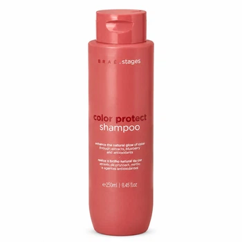 Шампунь для окрашенных волос с сохранением цвета BRAÉ Stages Color Protect Shampoo 250 мл