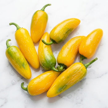 Насіння Перець гострий Халапеньйо Yellow, Capsicum annuum 5 шт/уп