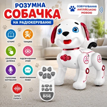 Собачка на радиоуправлении, озвучивание англ. языке, истории, танцы, сенсорный участок, подсветка глаз, голосовое управление, распознавание языка, запись голоса Красный (i7-196405)