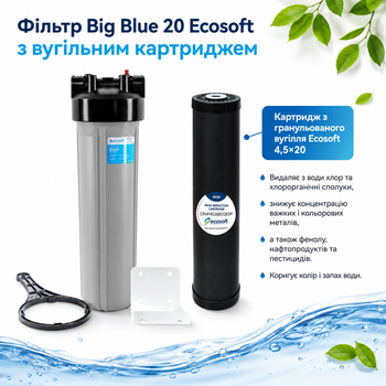 Фільтр Big Blue 20 Ecosoft з вугільним картриджем Gac у комплекті (BB20)