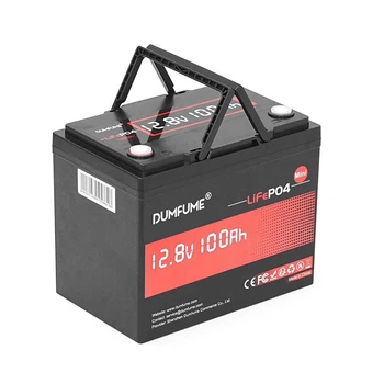 Аккумуляторная батарея Dumfume MINI LiFePO4 12,8V 100Ah 1280Wh, in10A/out20A, (150x95x85), 10kg