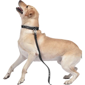 Поводок для собак DOGNESS, веревка для прогулок, цепь для собак, ошейник для крупных собак, аляскинский маламут, самоед, хаски, черный XL