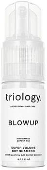 Сухой шампунь для объема волос Triology BlowUp Super Volume Dry Shampoo 18г