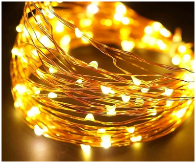 Гірлянда нитка 100 LED 10 м 2 Вт 220 В Теплий білий 8 режимів для дому Роса SQ-26614