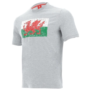 Мужская теплая, плотная футболка Wales WRU Macron размер М