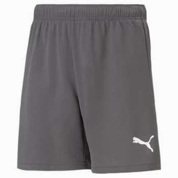 Шорти Puma teamRISE Short Jr сірий Діт 116 см 704943-13 116