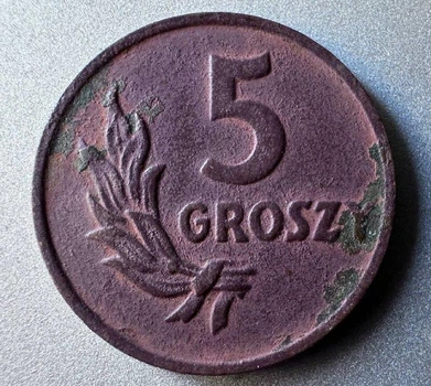 Польща 5 грошей 1949 рік Монети світу