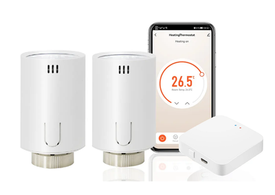 WiFi управления радиаторами 1DAL | ZigBee термоголовка (2шт) + умный хаб Tuya (TR02.WG128A)