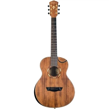 Акустическая гитара Washburn Wcgm55K-D-U (531849)