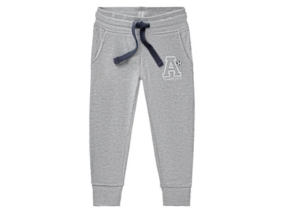 Спортивные штаны с начесом для мальчика Lupilu LIDL 369966 098-104 см (2-4 years) Серый
