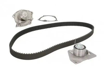 Комплект ремня ГРМ с помпой SKF (VKMC06127)