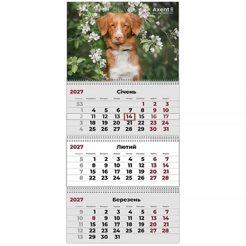Календарь настенный квартальный 3 спирали 29,7*63 Dogs 2 (8803-27-11-A)