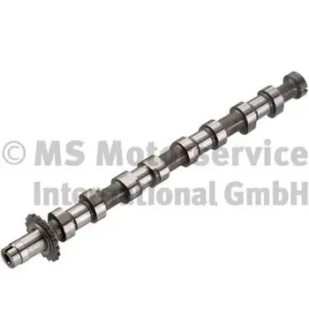 Розподільний вал Kolbenschmidt 50007089 Peugeot 406, Boxer, 607; Citroen C5, C6, C8, Jumper 0801W0