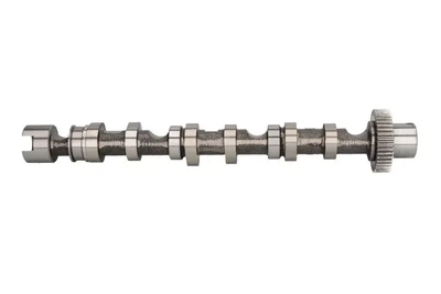 Розподільний вал Kolbenschmidt 50007005 Audi A6, A4, A5, Q7, Allroad, A8, Q5; Volkswagen Touareg, Phaeton 059109022BE