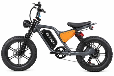 Электробайк EKAM-20 1500W 48V 24Ah, 24", Двойная Амортизация