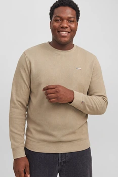 Світшот Alves Structure Jack&Jones бежевий 3XL (sw-jj-010-beige-3405)