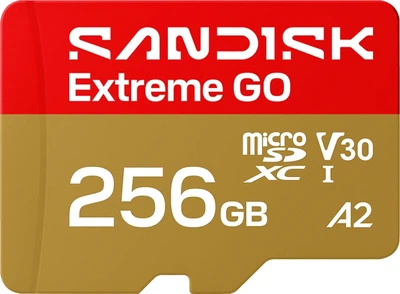 Карта пам'яті SanDisk Extreme GO microSDXC 256GB Class 10 UHS-I U3 V30 A2 (SDSQXGN-256G-GN6MN)