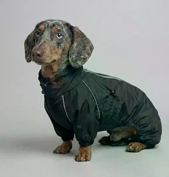Дождевик-комбинезон для такс DogsBomba Черный размер 2 непромокаемая одежда для собак водоотталкивающий демисезонный осенний весенний защита от дождя ветра грязи на змейке плащевка с регуляторами унисекс МТ-33/2