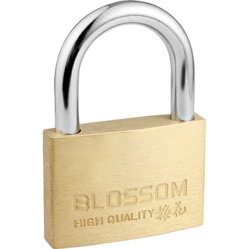 Медный навесной замок BLOSSOM, водонепроницаемый и устойчивый к коррозии, бытовой замок, замок для шкафов и дверей в общежитии, противоугонный замок для окон, 55 мм (076)